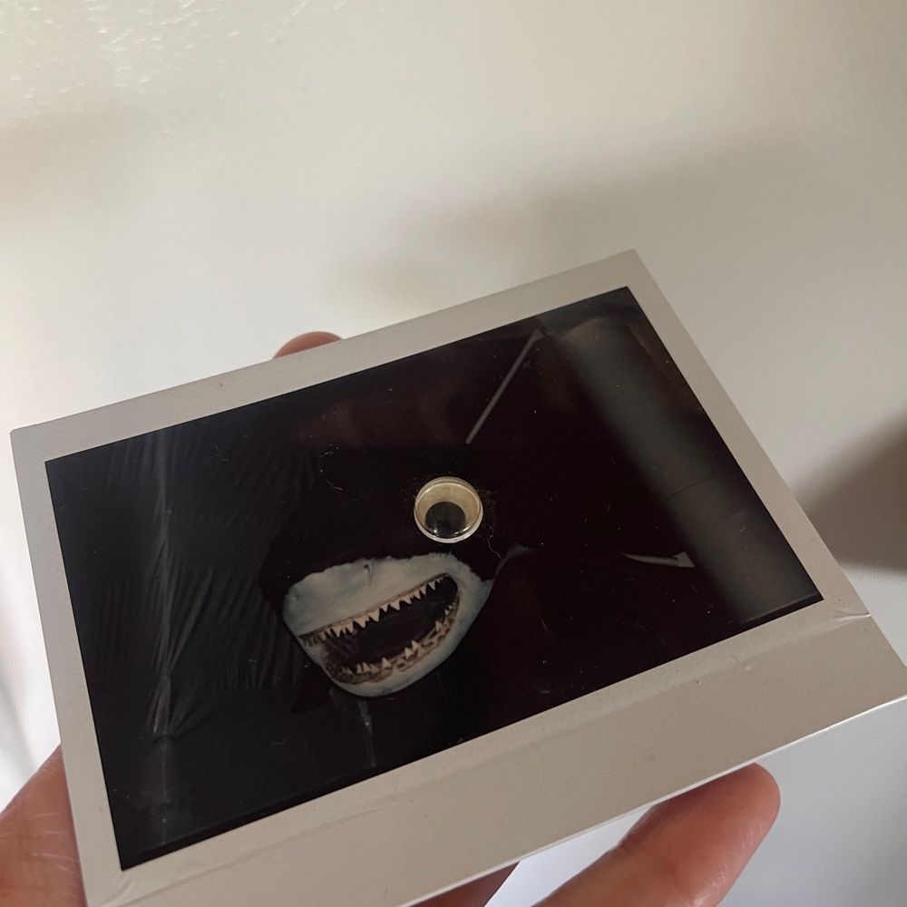 Googly eye mixed media photograph Polaroid shark magnet